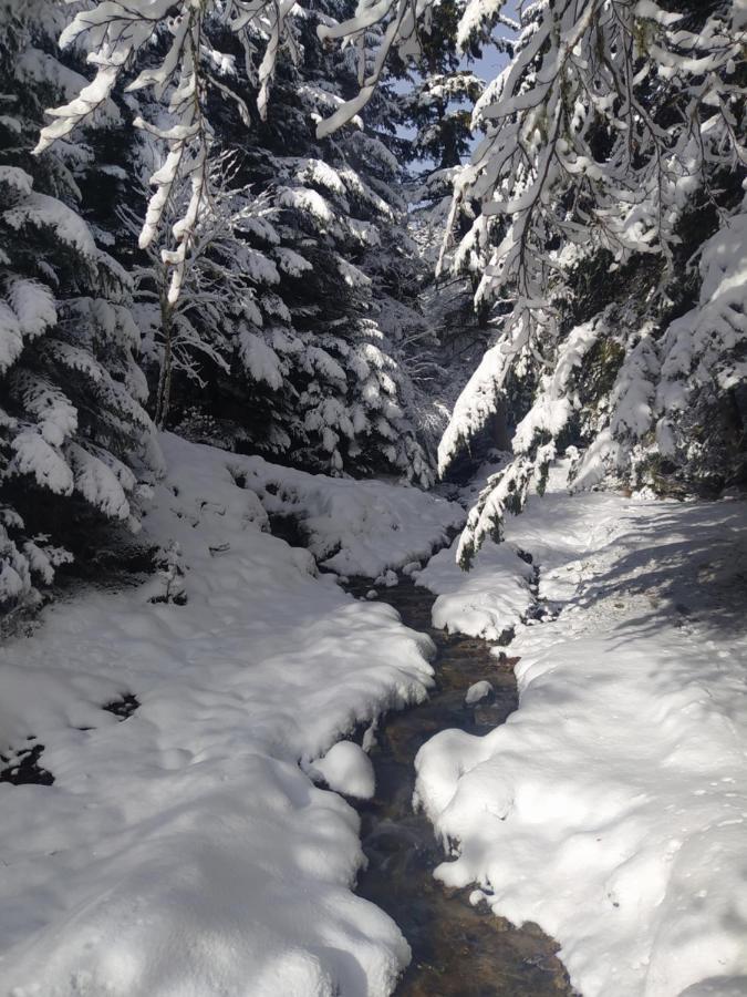 Studio 3 Personnes Au Pied Des Piste Plateau De Bonascre - Ax 3 Domaines Ete Hiver Ax-les-Thermes Εξωτερικό φωτογραφία